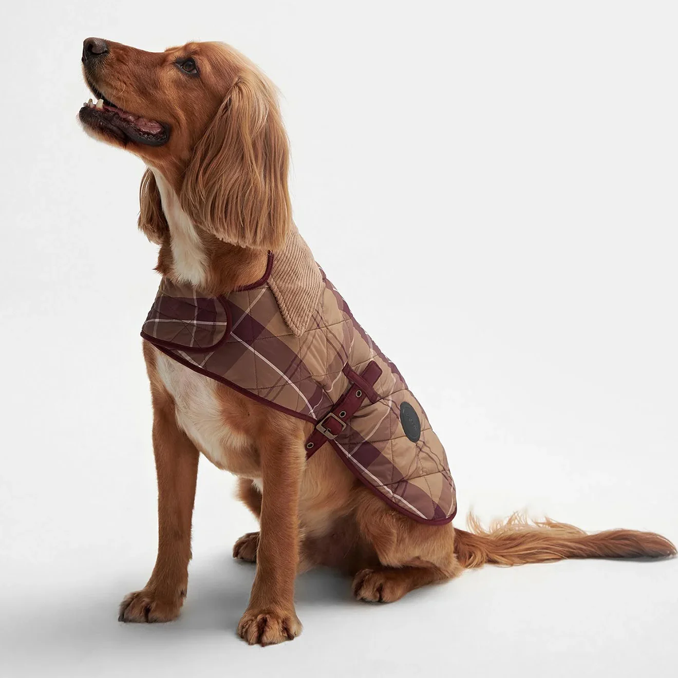 Barbour Tartan Dog Coat Muted Cabernet - Image 2