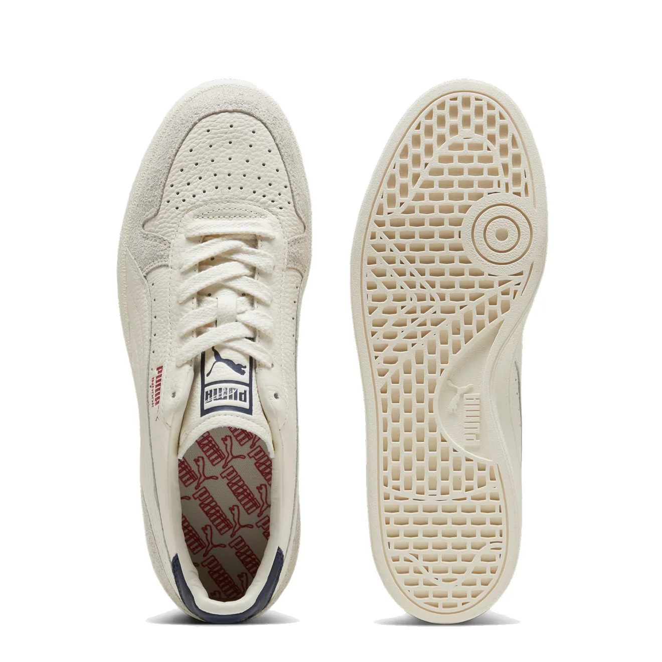 Puma Indoor Frosted Ivory / Vapor Gray - Image 4